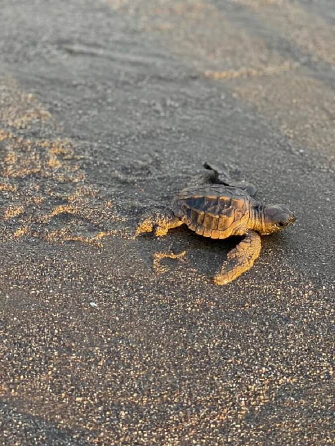 Transform Your Money Mindset And Develop An Abundance Mindset